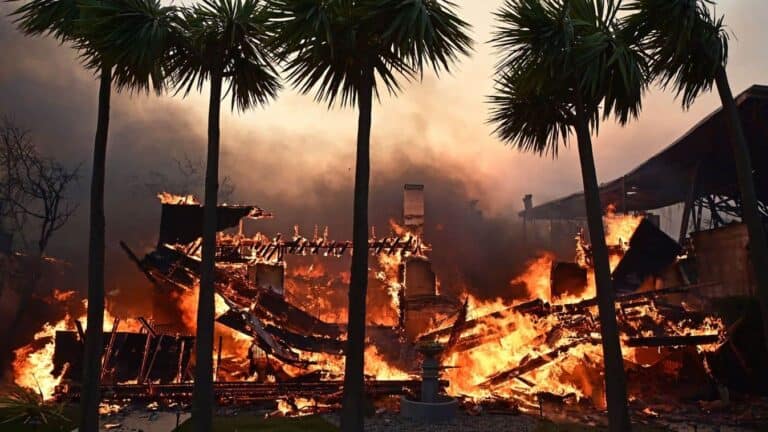 Tovább nőtt a Los Angeles-i tűzvész halálos áldozatainak száma
