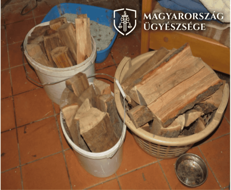 Fahasábbal vágta fejbe idős áldozatát a hevesi rabló