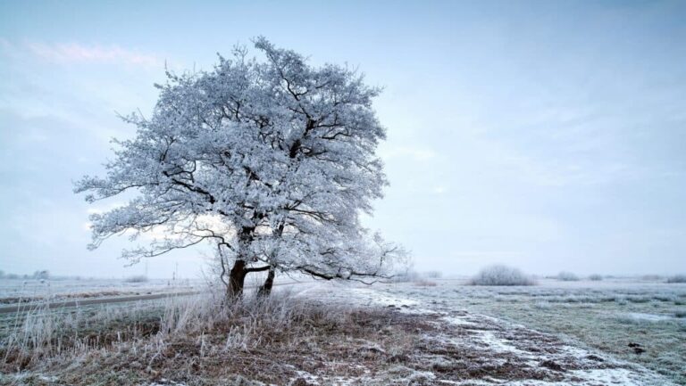 Jön a változás az időjárásban: komolyabb lehűlés várható hétvégén