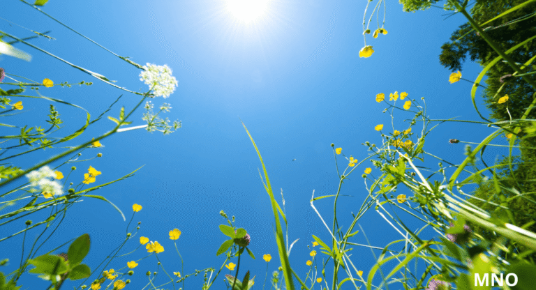 Nyárias lesz a szombat, szeles a vasárnap